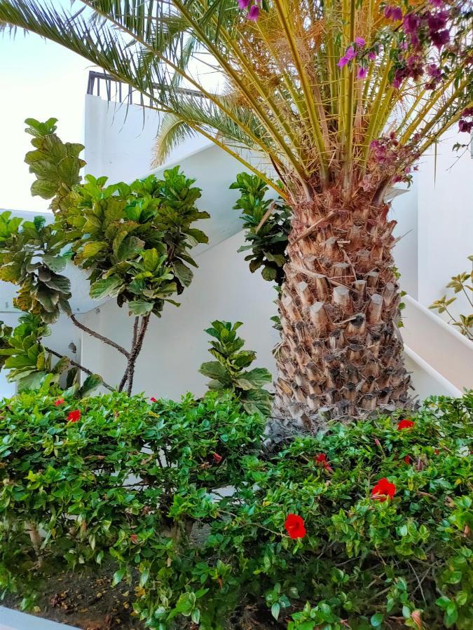 Ferienwohnung Flor De Cactus Costa Teguise Exterior foto