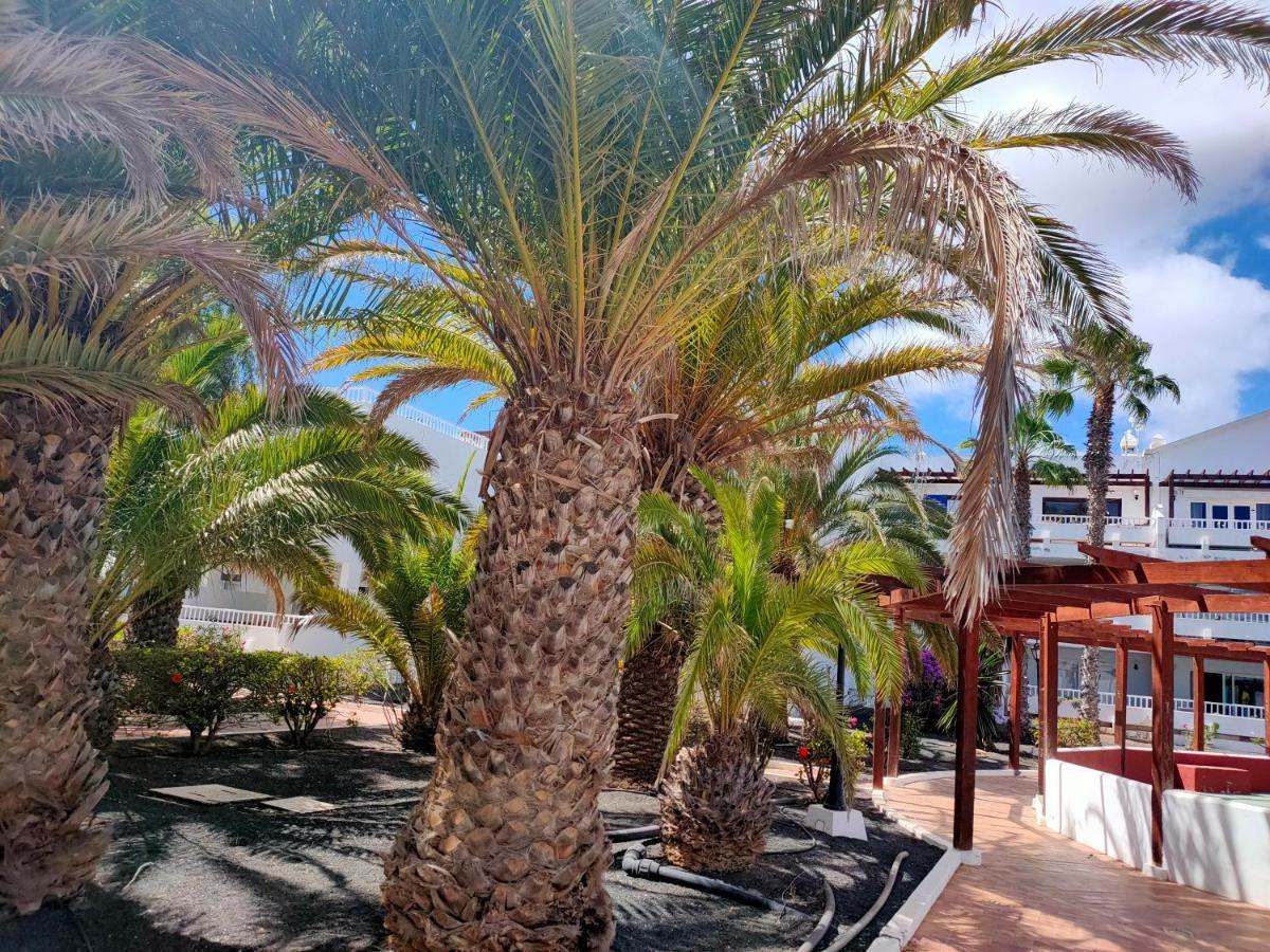 Ferienwohnung Flor De Cactus Costa Teguise Exterior foto