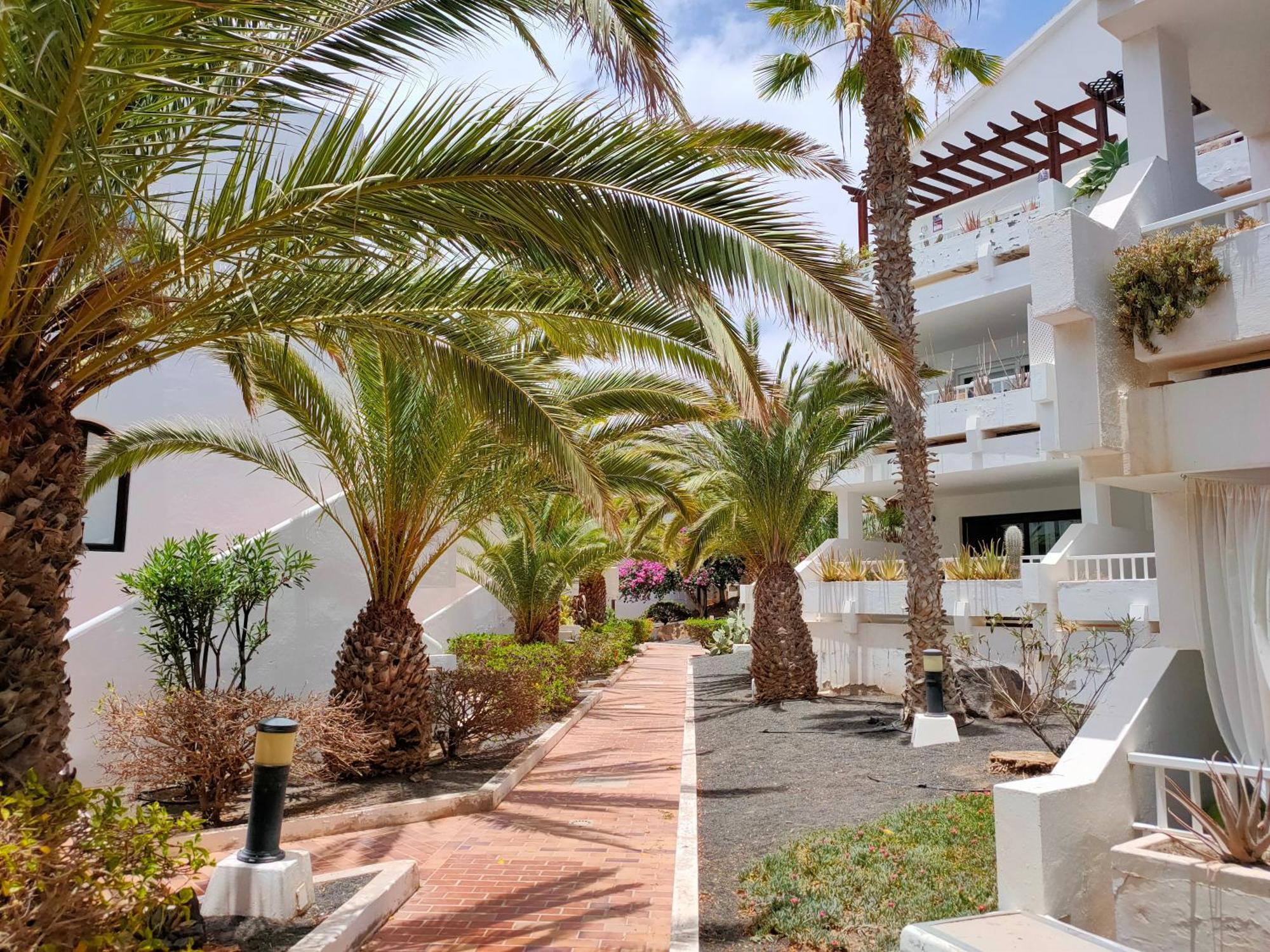 Ferienwohnung Flor De Cactus Costa Teguise Zimmer foto